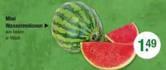 V Markt Mini Wassermelonen Angebot