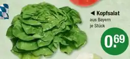 V Markt ◄ Kopfsalat Angebot