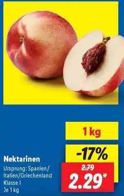 Lidl Nektarinen Angebot