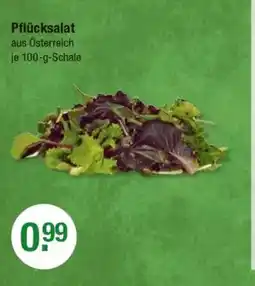 V Markt Pflücksalat aus Österreich Angebot