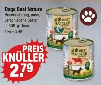 V Markt Dogs Best Nature Angebot
