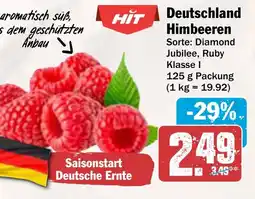 AEZ Deutschland Himbeeren Angebot