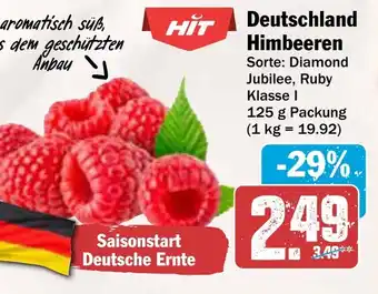 AEZ Deutschland Himbeeren Angebot