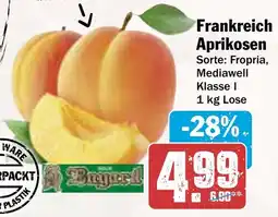 AEZ Frankreich Aprikosen Angebot