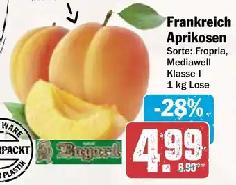 AEZ Frankreich Aprikosen Angebot