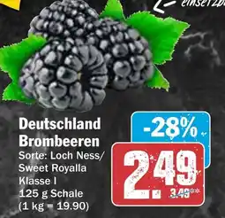 AEZ Deutschland Brombeeren Angebot
