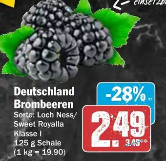 AEZ Deutschland Brombeeren Angebot