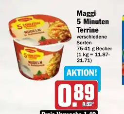 AEZ Maggi 5 Minuten Terrine Angebot
