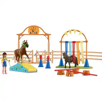 Netto Marken-Discount Schleich Spielfigur Farm World Pony Agility Training Angebot