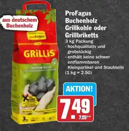 AEZ ProFagus Buchenholz Grillkohle oder Grillbriketts Angebot