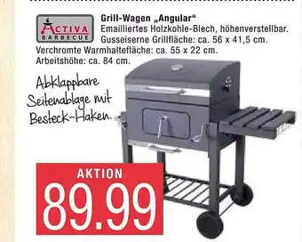 Marktkauf Activia Barbecue Grill-wagen „Angular” Angebot