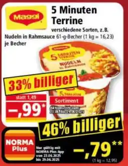 Norma 5 Minuten Terrine Angebot