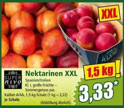 Norma Nektarinen XXL Angebot