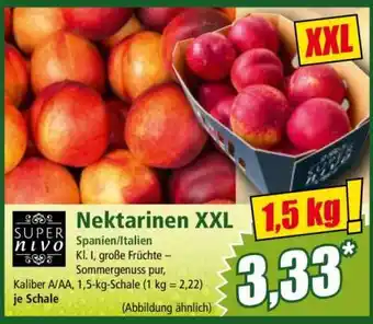 Norma Nektarinen XXL Angebot