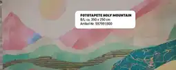 Poco Fototapete holy mountain Angebot