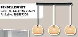 Poco Pendelleuchte Angebot
