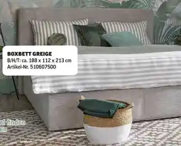 Poco Boxbett greige Angebot