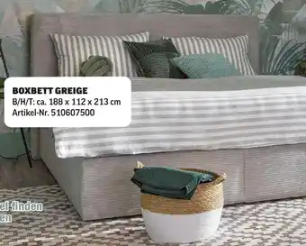 Poco Boxbett greige Angebot