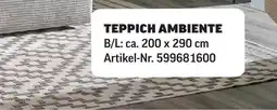 Poco Teppich ambiente Angebot