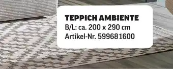 Poco Teppich ambiente Angebot