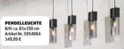 Poco Pendelleuchte Angebot