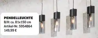 Poco Pendelleuchte Angebot