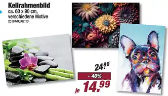 Poco Keilrahmenbild Angebot
