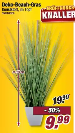 Poco Deko-Beach-Gras Angebot