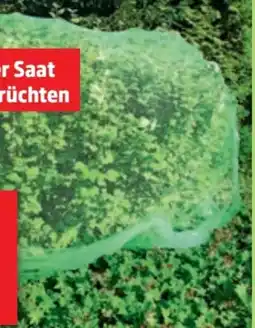 Thomas Philipps Grüner Jan Vogelschutznetz Angebot