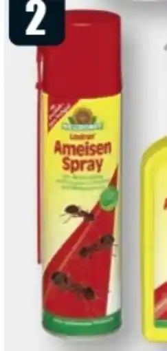B1 Discount Baumarkt Neudorff Loxiran AF Ameisen Spray Angebot