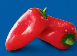 Lidl Rote Mini Paprika Angebot