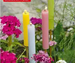 Hagebau Gartenfackeln Queen Angebot
