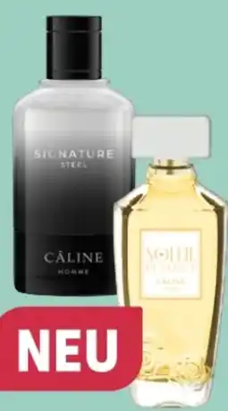 Rossmann Câline Man Powerful Black EdT Angebot