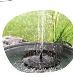 Rossmann Solar-Springbrunnen Angebot