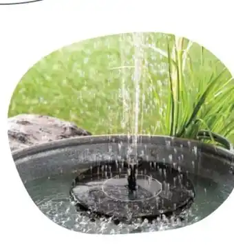 Rossmann Solar-Springbrunnen Angebot