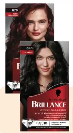 Rossmann Schwarzkopf Brillance Coloration Angebot