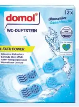 Rossmann Domol WC-Duftstein 4-fach Power Angebot