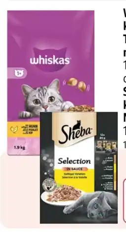 Rossmann Whiskas Katzen-Trockennahrung Angebot