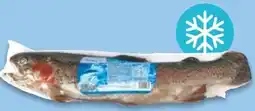 NETTO Lachsforelle Tiefkühl Angebot