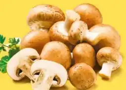 NETTO Braune Kulturchampignons Angebot