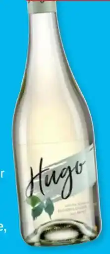 Aldi Süd Ravini Hugo Angebot