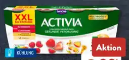 Aldi Süd Danone Activia Joghurt XXL Angebot