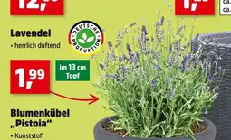 Thomas Philipps Deutsche produktion lavendel Angebot