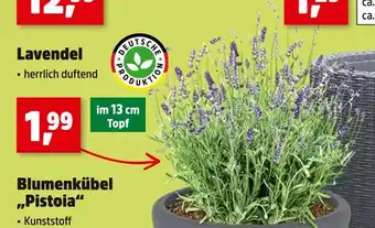 Thomas Philipps Deutsche produktion lavendel Angebot