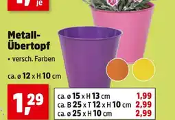 Thomas Philipps Metall-übertopf Angebot