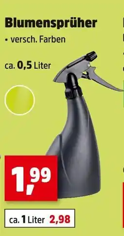 Thomas Philipps Blumensprüher Angebot