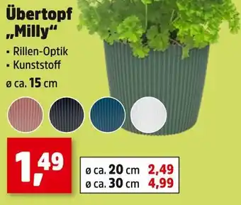 Thomas Philipps Übertopf milly Angebot