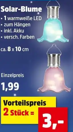 Thomas Philipps Solar-blume Angebot