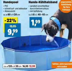 Thomas Philipps Hundepool Angebot