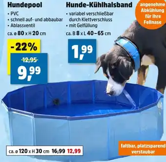 Thomas Philipps Hundepool Angebot